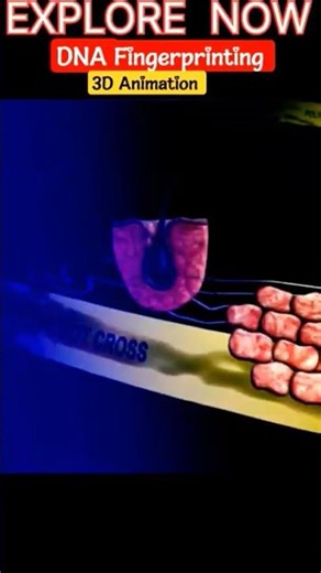 DNA Fingerprinting 3D Animation #dna #facts #ancestrydna #dnarevelation #science #human #biology