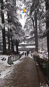 Jai Maa Hadimba 🙏 | Manali