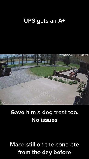 UPS delivering the day after Sam got maced by USPS. I was out playing fetch with him when UPS pulled up. No Issues at all!