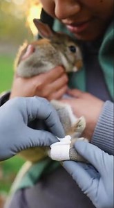 Tiny Life Save: Rabbit Rescued from Underground Pipe🤩#animals #viral #trending #hero #rescue #rabbit
