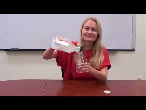 Daily Dose of Play - (Grades K-5) Blood Model Activity