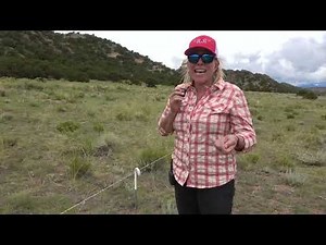 Poly wire electric fence for adaptive livestock grazing