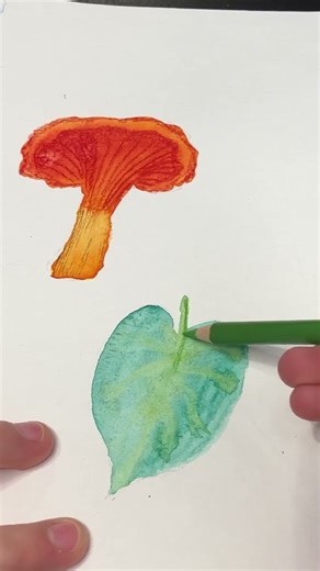 How to make stickers! 🍄🍃