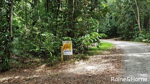 Sold House 99 Black Bean Road, Cow Bay, Daintree QLD 4873 - Jun 27, 2024
