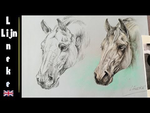 Easy HORSE HEAD for beginners pencil drawing