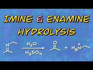 Hydrolysis of Imines and Enamines Explained
