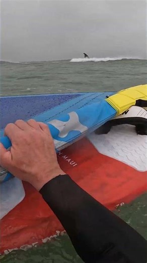 Jibe #6 Fail! Windsurfing Wipeout #Shorts
