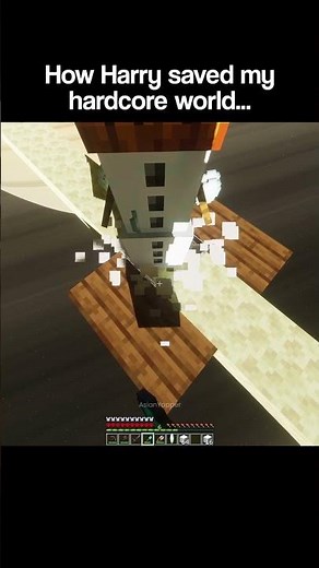 Minecraft Harry Moment