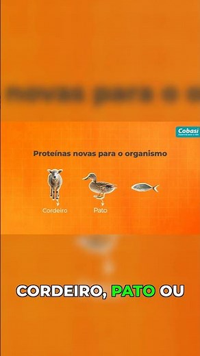 Hypoallergenic pet food: why use new proteins?