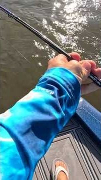 Saltwater Fish Invade Bass Fishery!