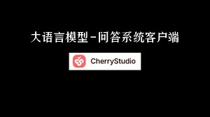 如何使用AI问答系统客户端Cherry Studio