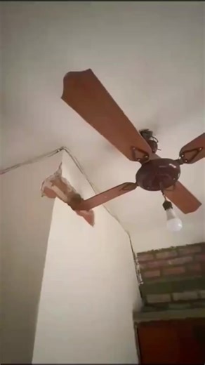 Expert Electrical Services You Can Trust