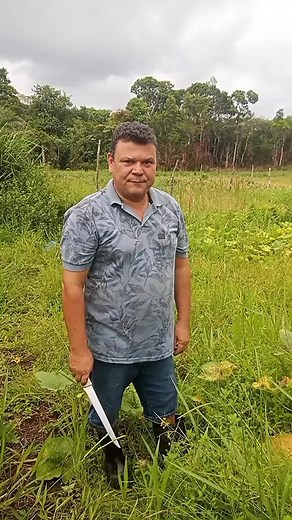 How to Prepare and Cook a Pumpkin Outdoors