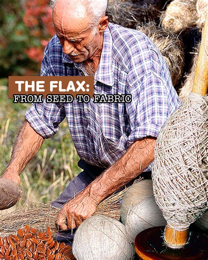 Flax➡Cultivation, Harvesting and Manufacture of Clothes | Eugenio Monesma Documentaries