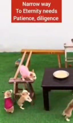 The narrow way to eternity (heaven) requires patience and diligence. 🙏🏽😇 #powerfulillustration | Quotes Made with Love