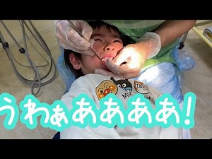 ※音量注意※　【号泣！歯医者さん】2歳児は最後まで治療できるのか…！？何も気づいていないキッズが歯科にいくと…！？子どものフッ素塗布　しーくんちゃんねる
