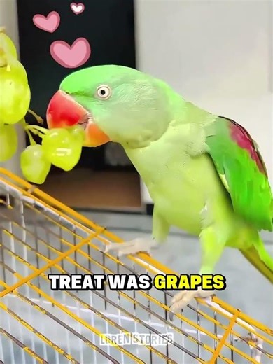 Man Rescues DYING Bird on Highway 🥺❤️
