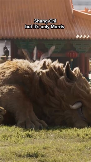 We would die for Morris. Stream Shang-Chi and the Legend of the Ten Rings now on Disney . | Marvel