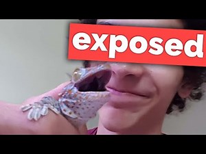 The Worst Reptile Keeper on YouTube