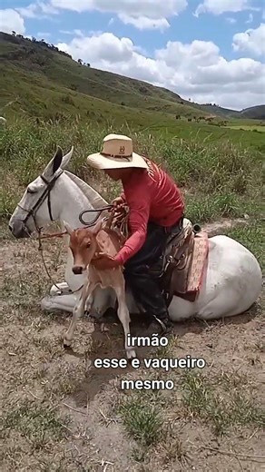 Boiadeiro Topado! 🤠🐂🔥