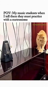 517K views · 26K reactions | The metronome doesn’t bite! Haha, I am...
