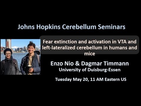 Enzo Nio and Dagmar Timmann: Fear extinction and the cerebellum
