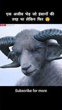 एक अजीब भेड़ जो इंसानों की तरह था लेकिन फिर 😲 #shorts