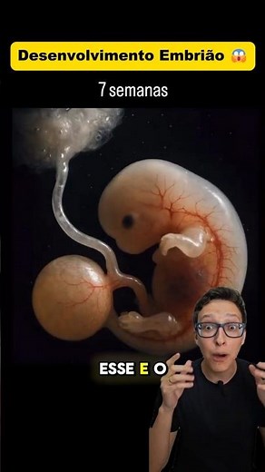 Embrião 😱 #medicina #medico #enfermagem #enfermeiro #enfermeira Vida Gestacional e Fetal