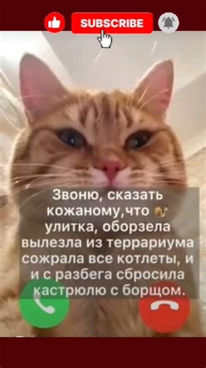 Когда виноват не ты #юмор #смешно #смех