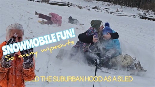 8.8K views · 573 reactions | Life on the SFF is not all work. This is what happens on a snow day around here! | Steinmetz Family Farm | Facebook