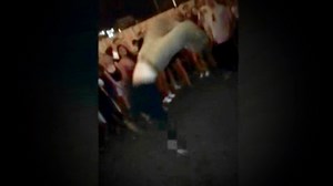 FBI Agent Drops Gun While Dancing—What Happened Next Left People Shocked