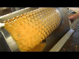 Fruit pulper machine