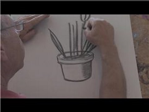 Drawing Basics : How to Draw Potted Plants
