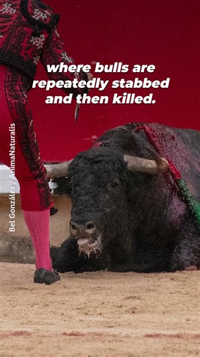 🎟️ ❌ StubHub is selling front-row seats to suffering!