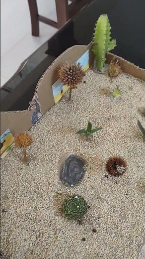 Maqueta del desierto para que den una idea si