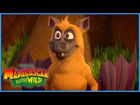 Making a Halloween Friend🦇🎃 | Halloween Special 🎃 | A Little Wild | DreamWorks Madagascar