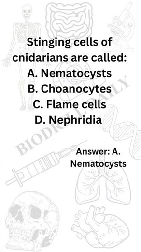 Score 360/360 in NEET Bio 2026 - Don't Miss #NEET #NEET2025 #NEETAspirants #NEETPrep #NEETBiology