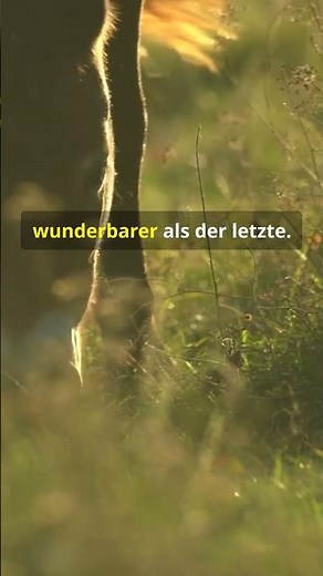 Genesis - Am Anfang schuf Gott Himmel und Erde
