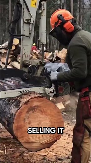 This Machine Turns Forest Slash Into Biochar