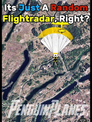 Its Not Just A Flightradar Glitch! 😢