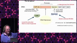 Hacking the genome: how does it work, and should we?