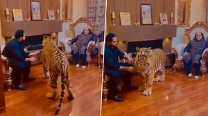 Chahat Fateh Ali Khan of 'Bado Badi' Fame Gets Scared of Tiger, Pakistani Singer’s Old Viral Video Resurfaces Online (Watch) | 👍 LatestLY