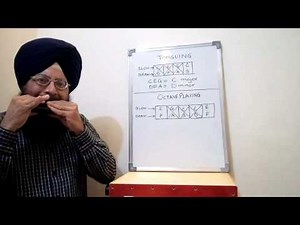 Learn harmonica (Lesson 11) tonguing and octave playing