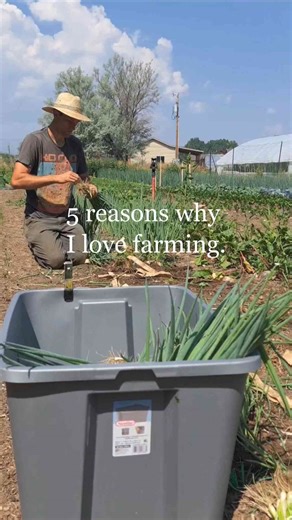 5 Reasons Why You Should Start Farming