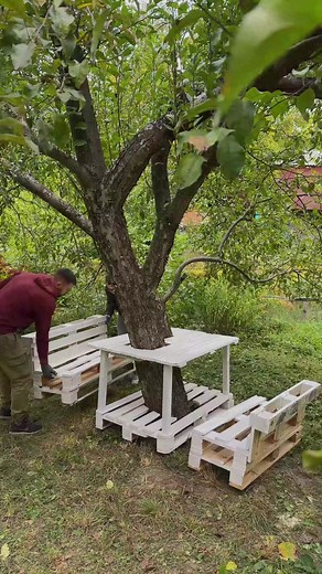 Tree lounge | Peaceful Century