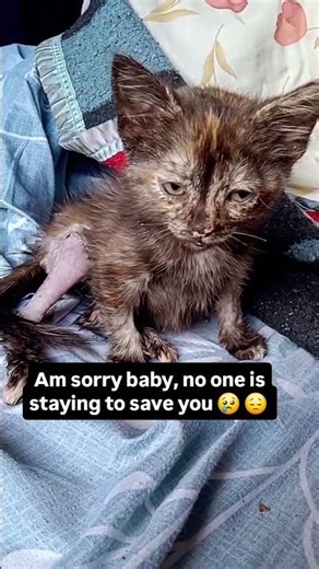 But we must start a campaign again for her! We know she is not alone—together we can help her 🙏.