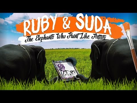 The Elephants Who Paint Like Artists😳🎨:Redefining intelligence!