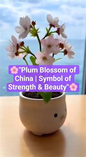 🌸"Plum Blossom of China | Symbol of Strength & Beauty"🌸