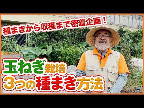 家庭菜園の玉ねぎ栽培で種蒔きから収穫まで密着！3つの種まき方法を徹底解説！自分に合った方法で玉葱栽培を成功させよう！【農園ライフ】