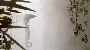 A group of swans swimming on the lake water with the fogs all over. Little chicks. Bird watching. Warm tones. An early morning sunrise. Camera slowly moves backwards. Vertical Format Video